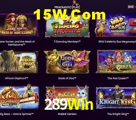 Experiência VIP 289Win