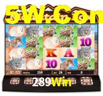 289Win