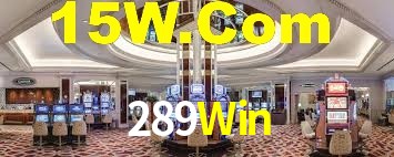 289Win App Interface