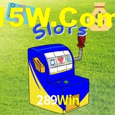 Premium Interface 289Win